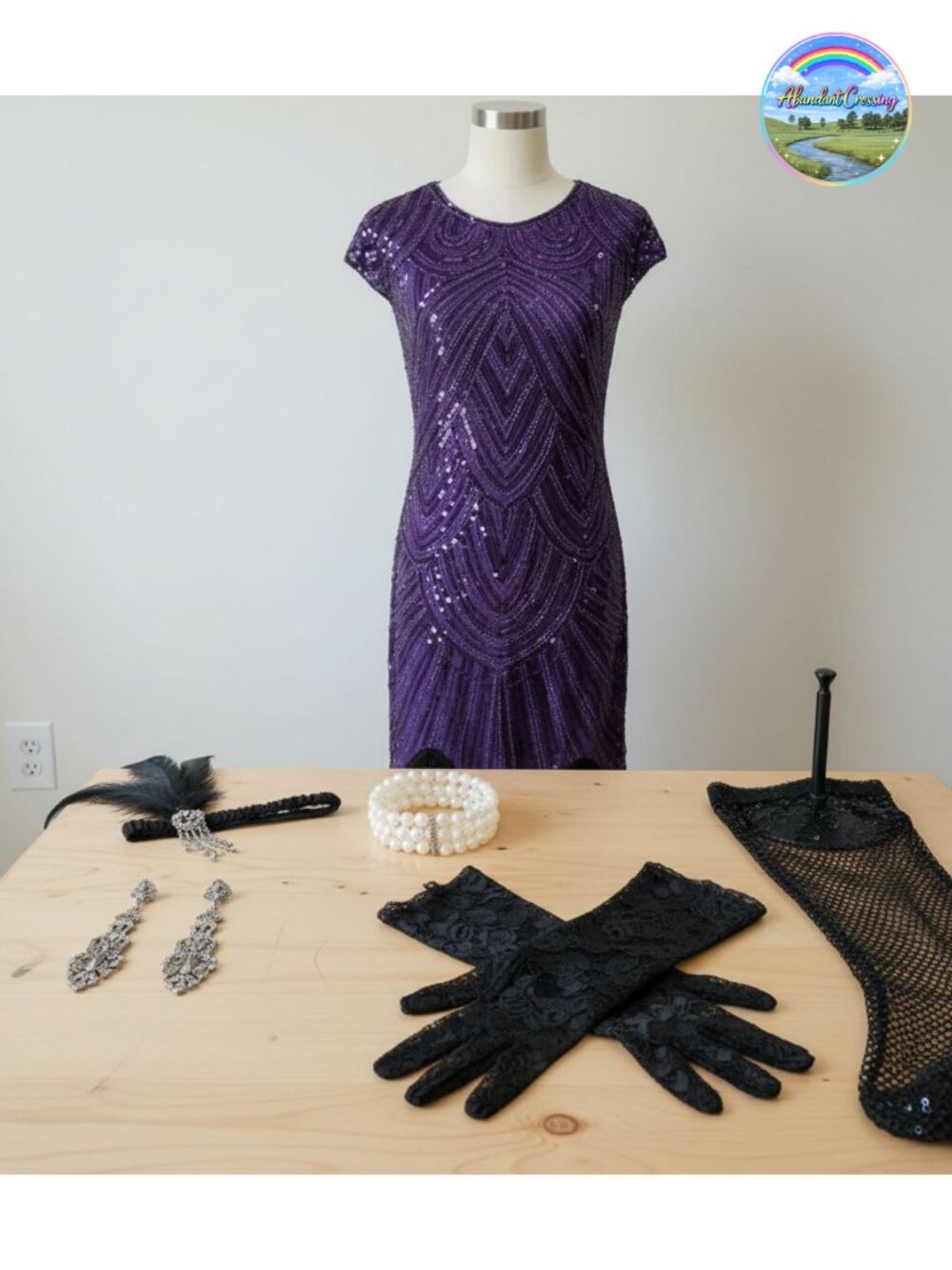 1920s Flapper Dress Set Sequin Fringe Costume Accessories